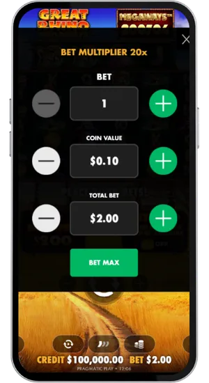 Set Your Preferred Stake
